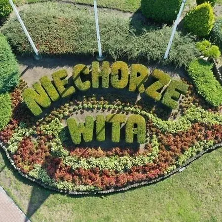 In Near Lighthouse *